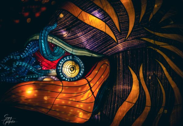 Chinese lantern festival display
